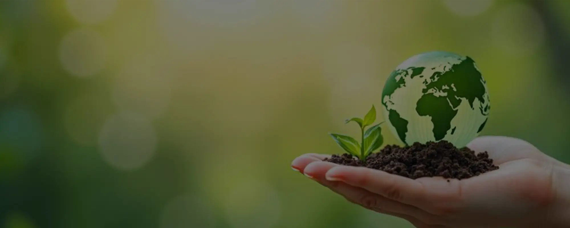 Environmental Services & Design