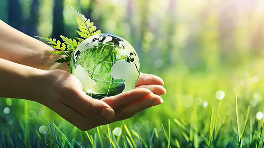 Environmental Services